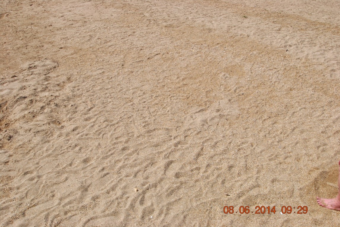 imagini hotel VENOSA DIDIM